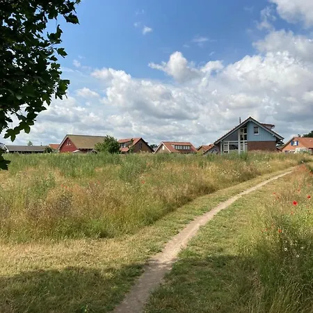 Fh Strandraeuber Mit Sauna *